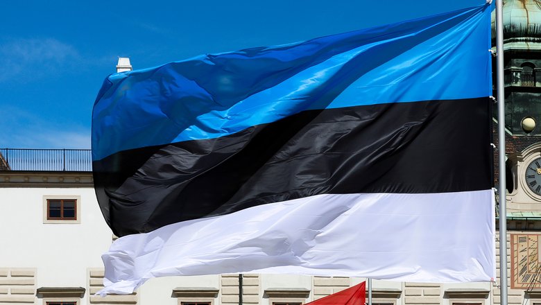 В Эстонии беспилотник врезался в трубу электростанции