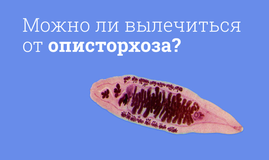 Описторхоз: Симптомы и этапы лечения