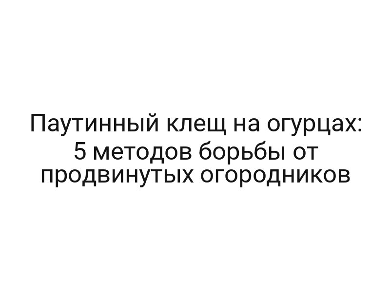 Паутинный клещ на огурцах: 5 методов борьбы от продвинутых огородников Паутинный клещ на огурцах: 5 методов борьбы от продвинутых огородников